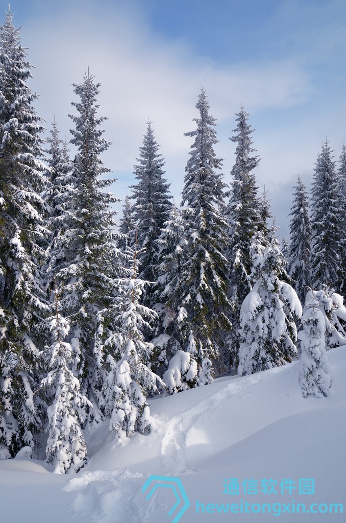 天天好彩293456com：一站式彩票資訊導(dǎo)航，開獎信息隨手可得