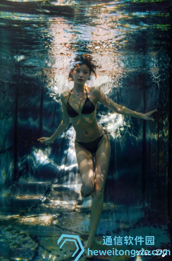 新澳今晚精準(zhǔn)內(nèi)部大全，獨(dú)家秘籍全解析！